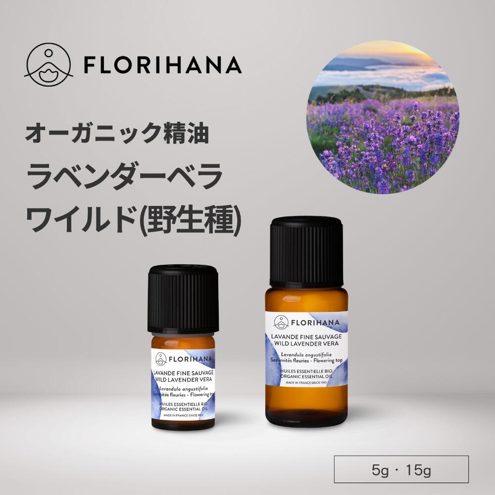 楽天市場】プラナロム AOP ラベンダー アングスティフォリア