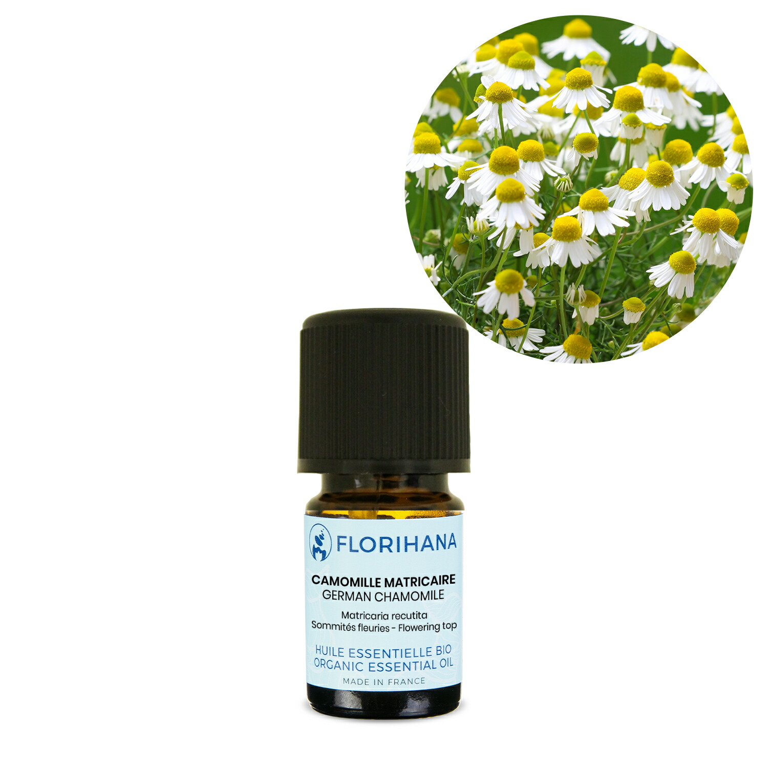 【オーガニック】 ジャーマンカモミール 2g(2.1ml) 【精油 エッセンシャルオイル アロマオイル アロマ フロリハナ Florihana】