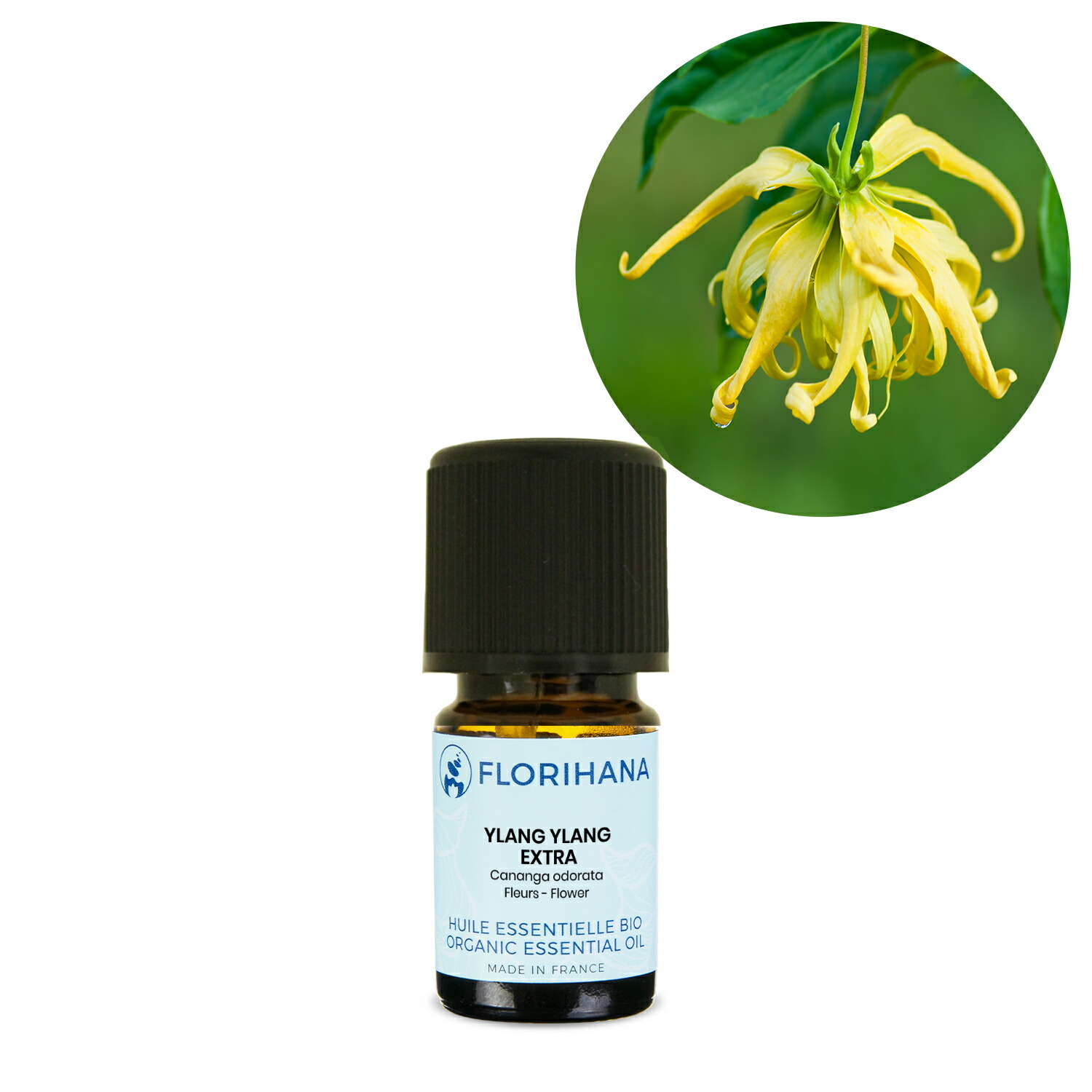 楽天市場 オーガニック イランイラン エクストラ 5g 5 43ml 精油 エッセンシャルオイル アロマオイル アロマ フロリハナ Florihana フロリハナ