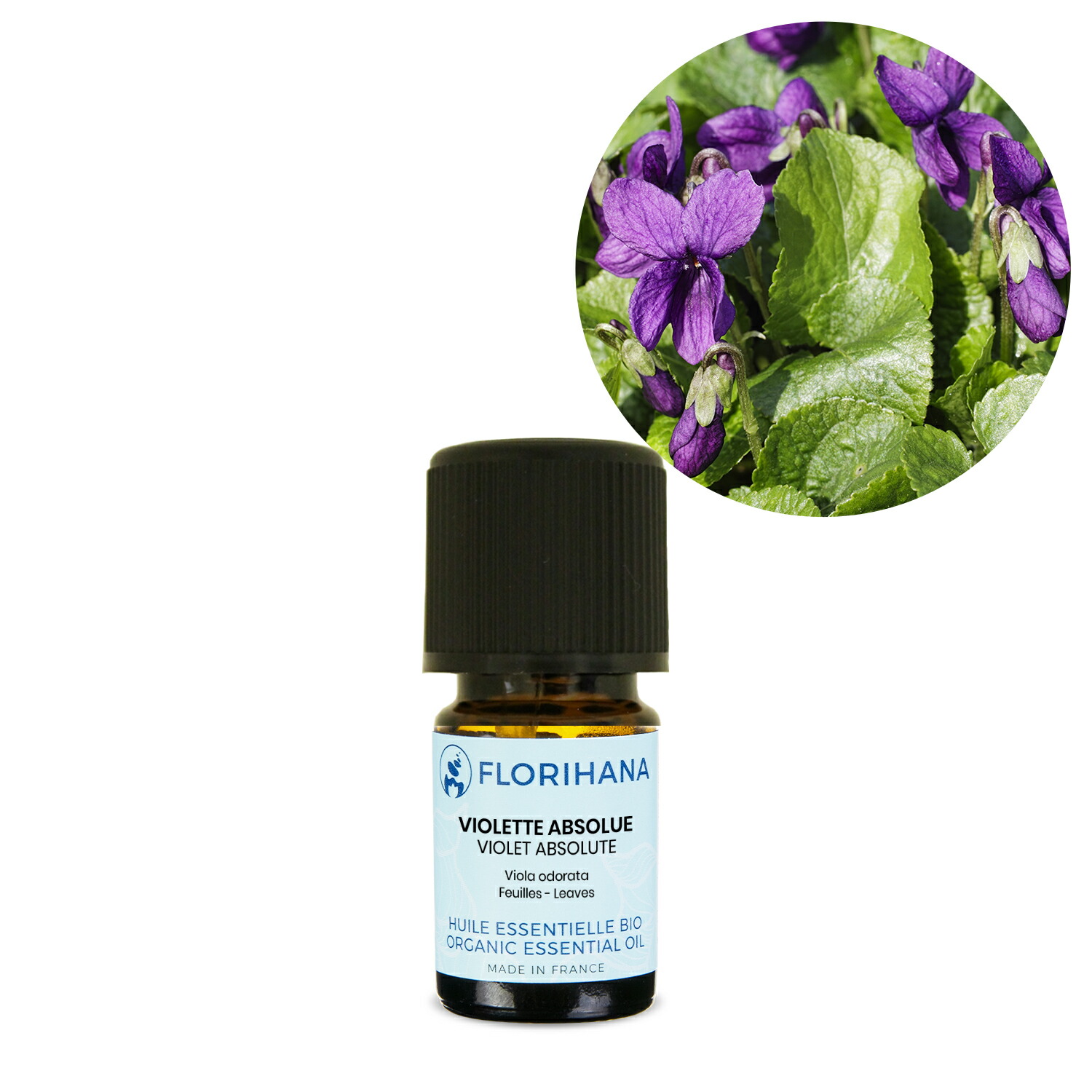 【楽天市場】バイオレットリーフ 2g(2.17ml) 【アブソリュート 精油 エッセンシャルオイル アロマオイル アロマ フロリハナ