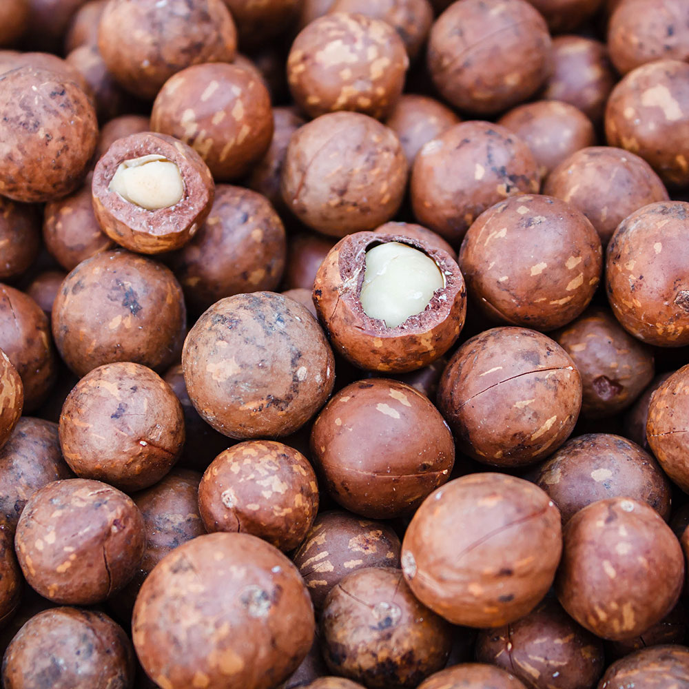 偉大な オーガニック マカダミアナッツ 500ml 未精製 キャリアオイル 植物油 ベースオイル スキンケア アロマ フロリハナ Florihana W 工場直送 Feelgoodsongs Fun