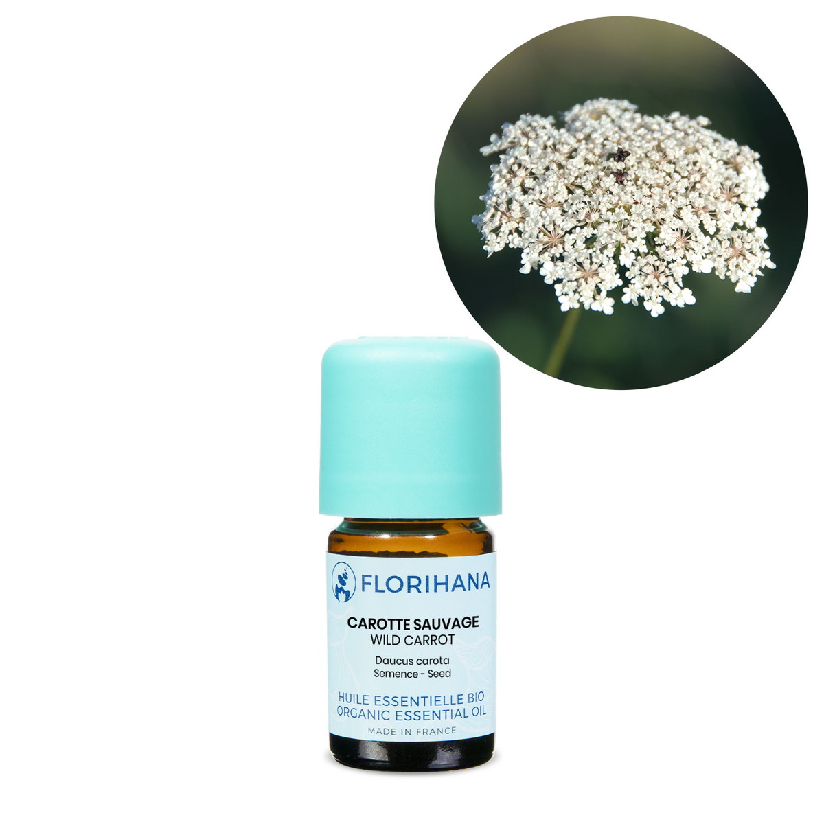 【オーガニック】 キャロットシード　5g(5.6ml) 【精油 エッセンシャルオイル アロマオイル アロマ フロリハナ Florihana】
