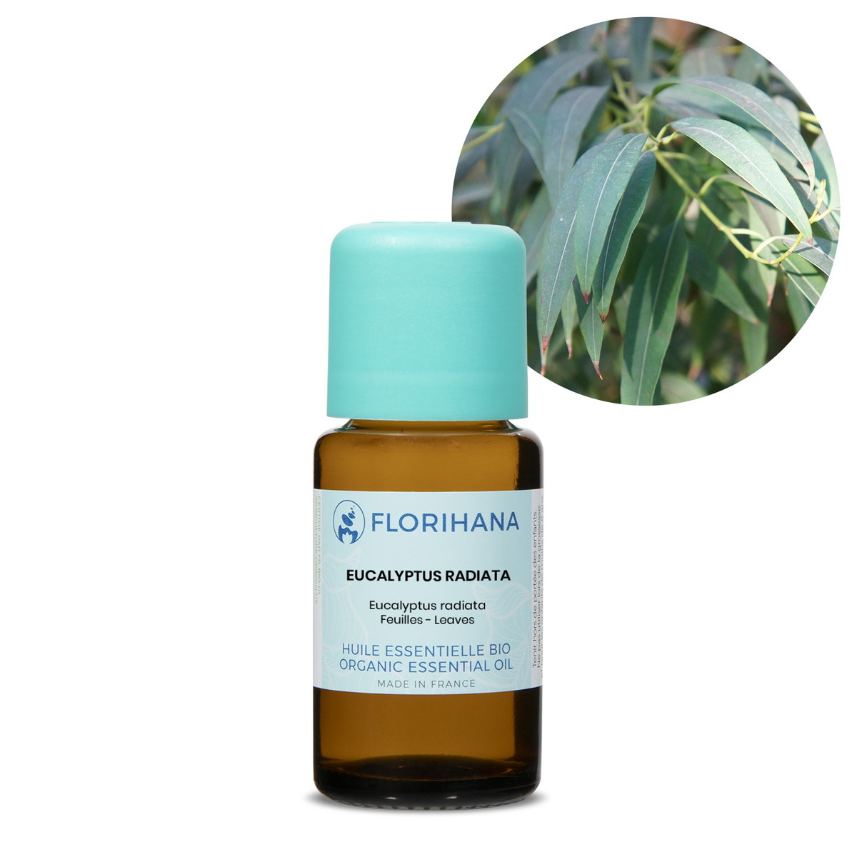 【オーガニック】 ユーカリ ラデアタ 15g(16.5ml) 【精油 エッセンシャルオイル アロマオイル アロマ フロリハナ Florihana】