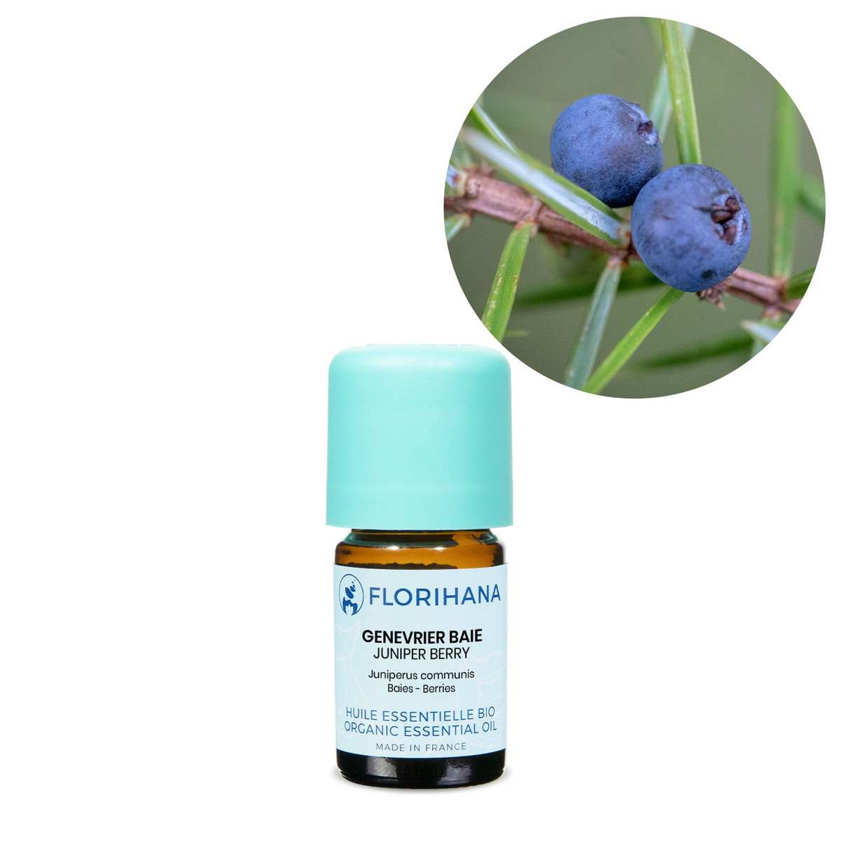 【オーガニック】 ジュニパーベリー 5g(5.8ml) 【精油 エッセンシャルオイル アロマオイル アロマ フロリハナ Florihana】