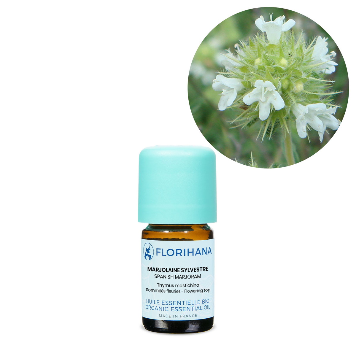 【オーガニック】 スパニッシュマジョラム　5g(5.5ml) 【精油 エッセンシャルオイル アロマオイル アロマ フロリハナ Florihana】
