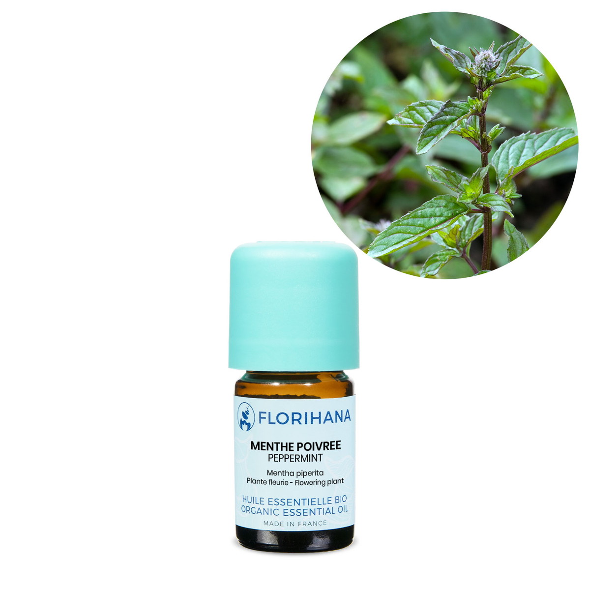 【オーガニック】 ペパーミント 5g(5.5ml) 【精油 エッセンシャルオイル アロマオイル アロマ フロリハナ Florihana】