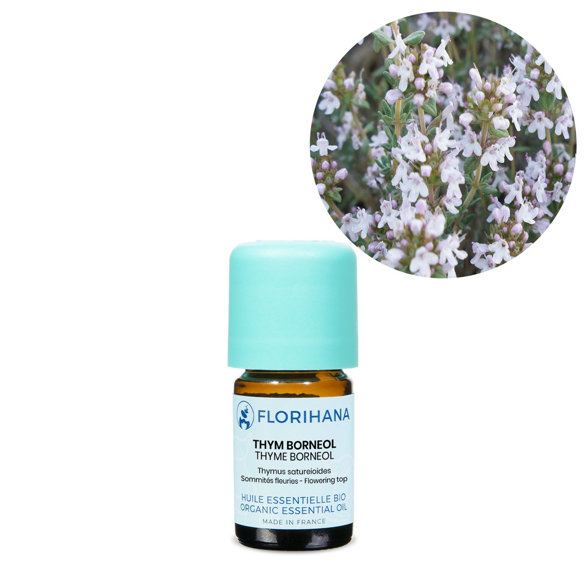 【オーガニック】 タイム ボルネオール 5g(5.4ml) 【精油 エッセンシャルオイル アロマオイル アロマ フロリハナ Florihana】