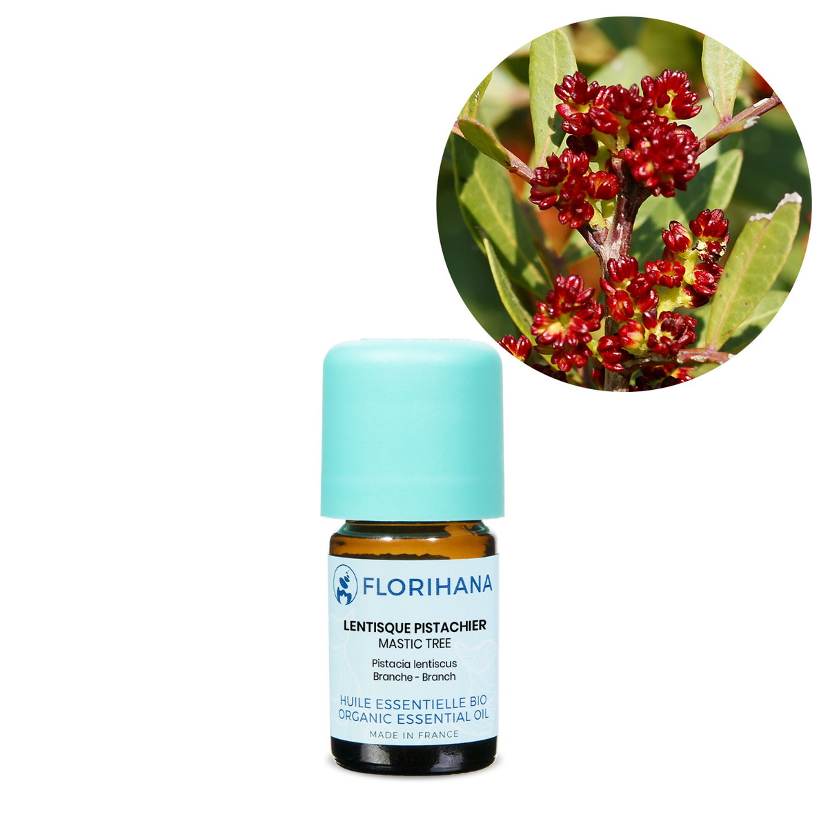 【オーガニック】 マスティクス　2g(2.3ml) 【精油 エッセンシャルオイル アロマオイル アロマ フロリハナ Florihana】