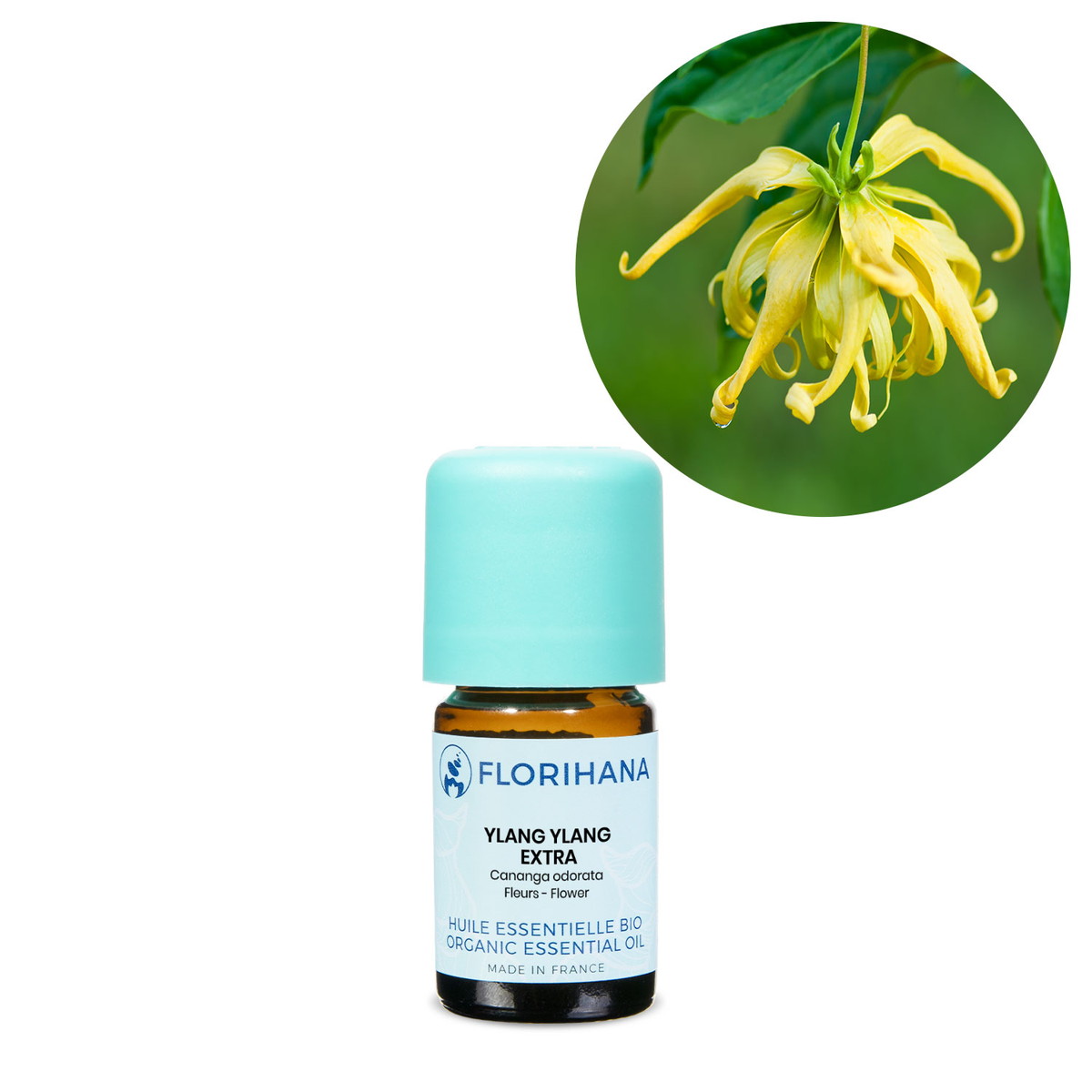 【オーガニック】 イランイラン エクストラ 5g(5.2ml) 【精油 エッセンシャルオイル アロマオイル アロマ フロリハナ Florihana】