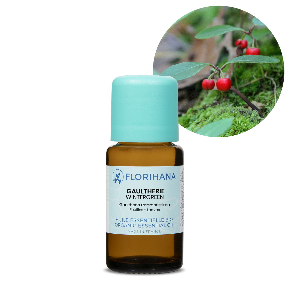 【オーガニック】 ウインターグリーン　15g(12.7ml) 【精油 エッセンシャルオイル アロマオイル アロマ フロリハナ Florihana】