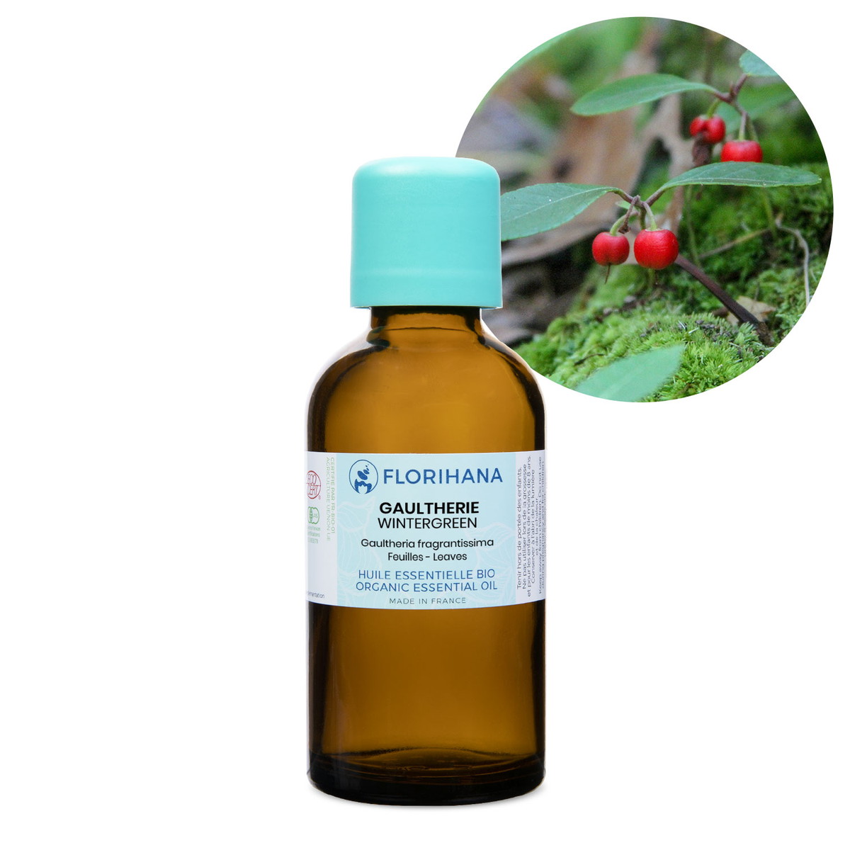 【オーガニック】 ウインターグリーン　50g(42.5ml) 【精油 エッセンシャルオイル アロマオイル アロマ フロリハナ Florihana】