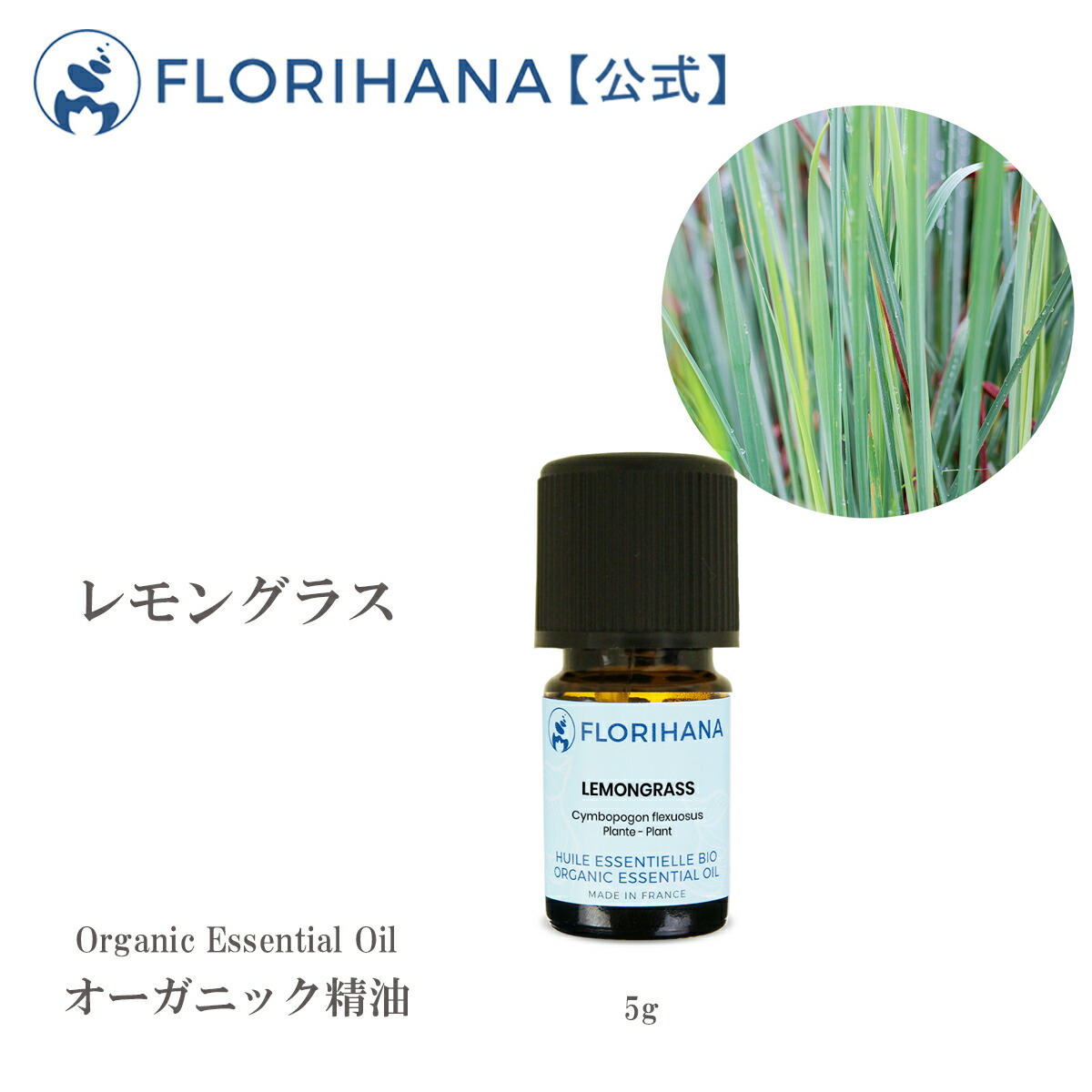 全品最安値に挑戦 オーガニック サンフラワーオイル ひまわり油 200ml 植物油 キャリアオイル ベースオイル スキンケア ピュア 天然 無添加  アロマテラピー techwyse.com