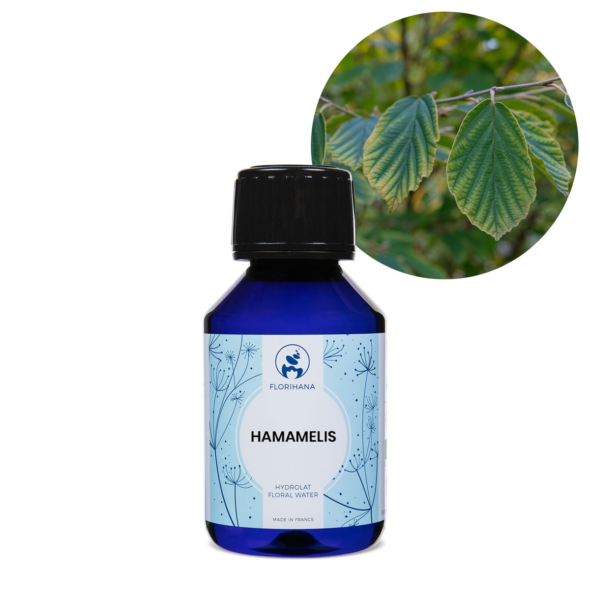 【オーガニック】 ハマメリス　100ml 【フローラルウォーター 芳香蒸留水 ハイドロソル アロマ 化粧水 フロリハナ Florihana】