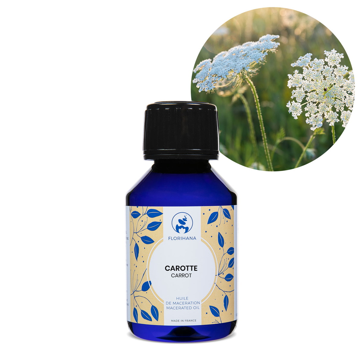 【オーガニック】 キャロット 100ml 【マセレーションオイル 植物油 浸出油 ベースオイル アロマ フロリハナ Florihana】