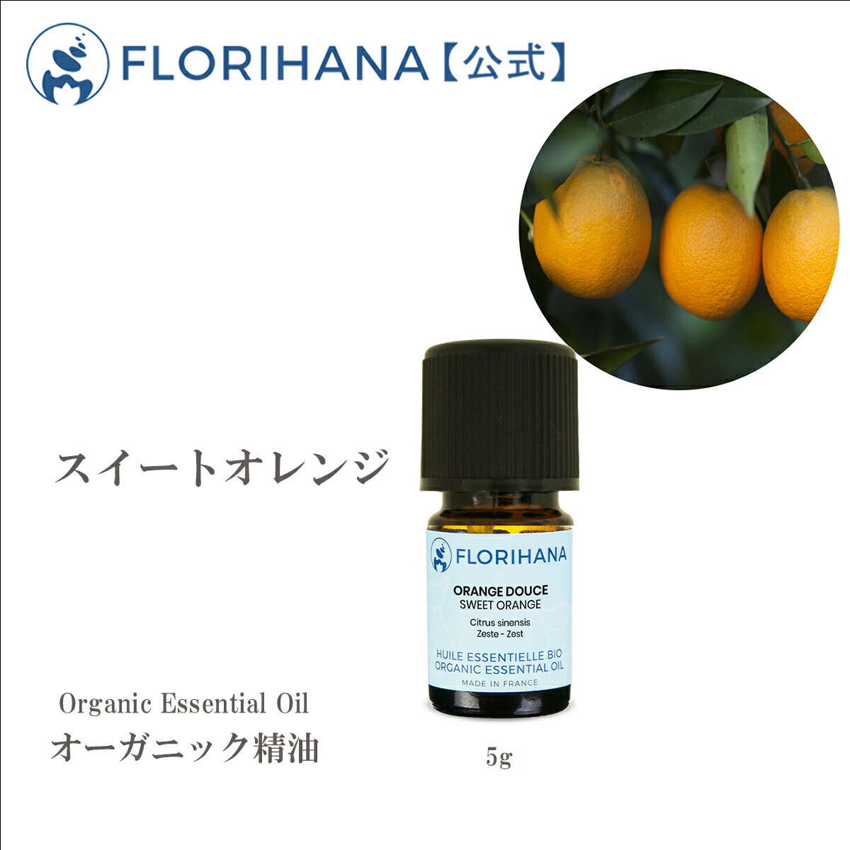 最も完璧な Florihana 無添加 オーガニック キャリアオイル 天然 バージン スキンケア ローズヒップ 植物油 未