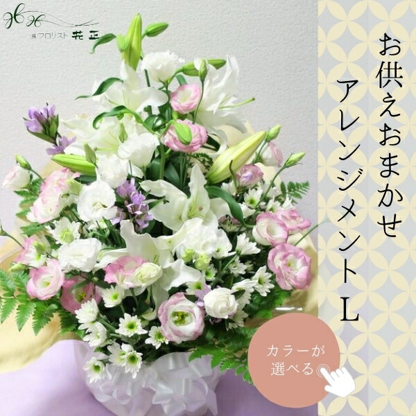 大人気 あす楽対応  【M6GYQ0KZCHC】 限定デザイン