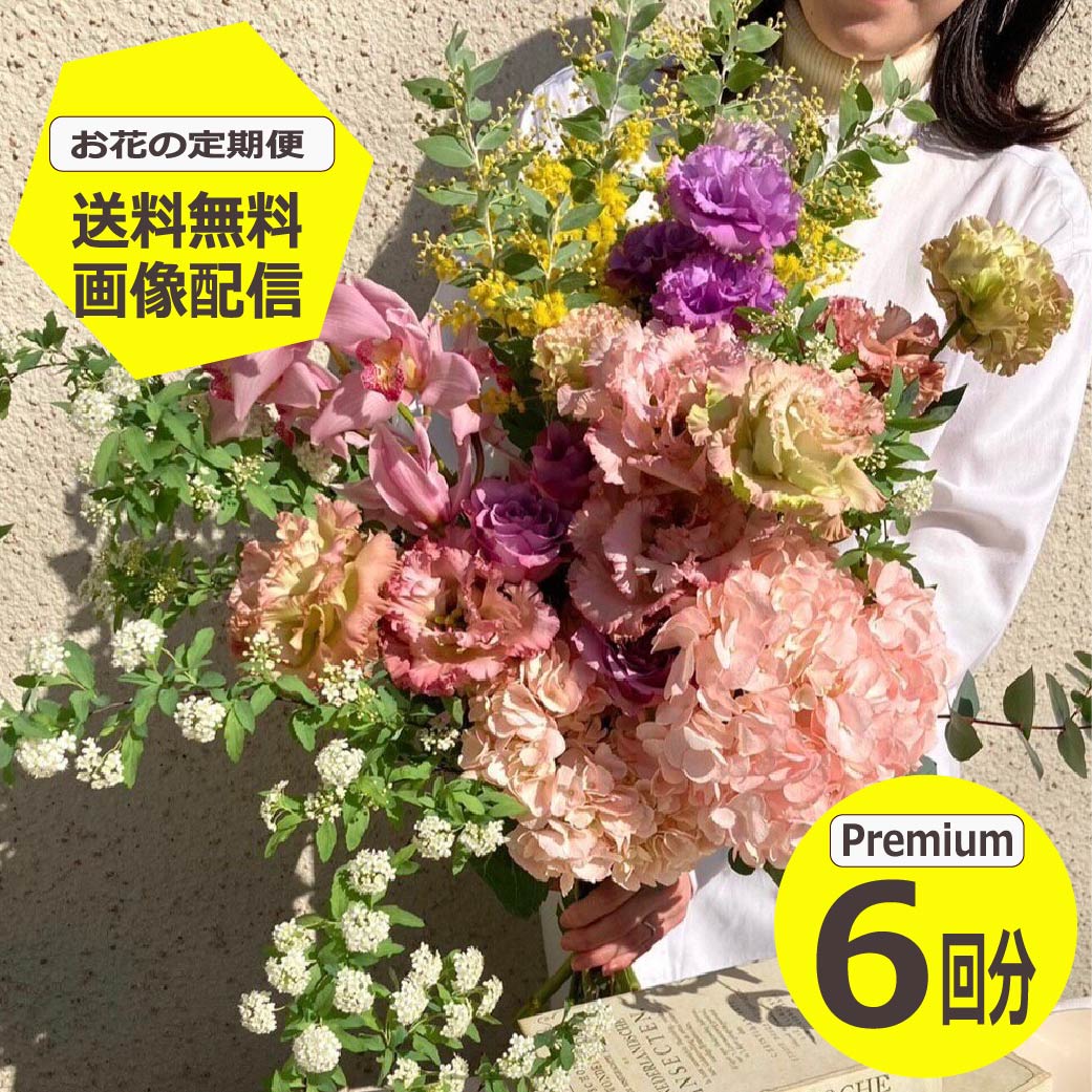 【百貨店SALE】最大限度５０％OFF！ ?