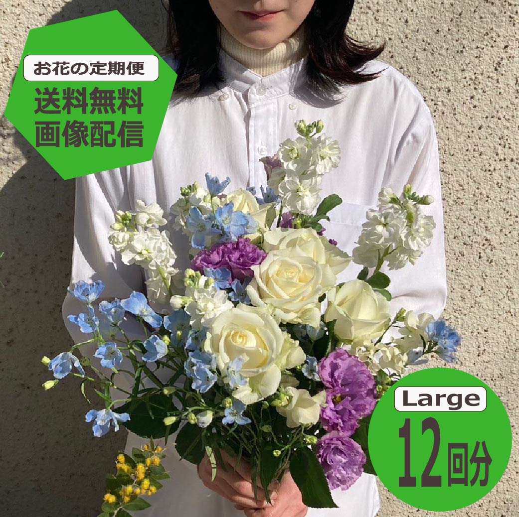 春胸花特集 ?