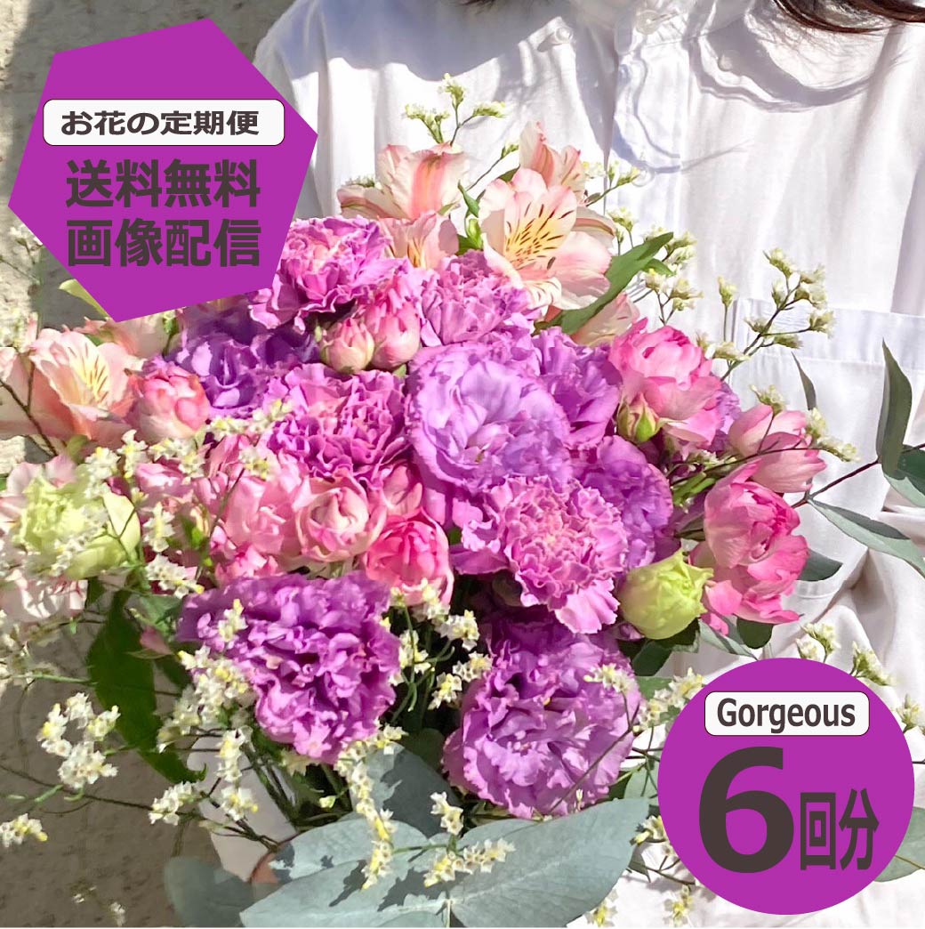 春胸花特集 ?