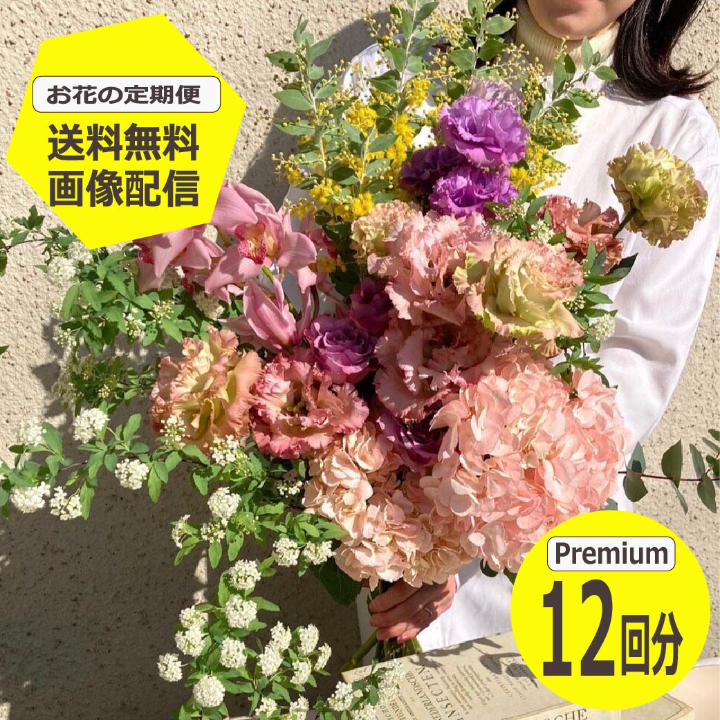 春胸花特集 ?