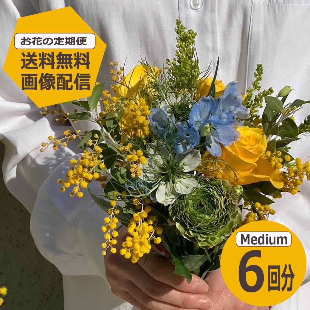 【百貨店SALE】最大限度５０％OFF！ ?