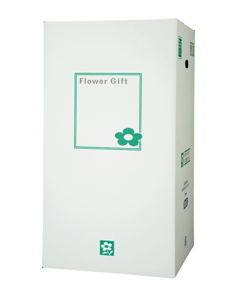 エンポリアムsale10 Off客体 宅配ボックス E Box 5 大型按配 6 7かけら鉢物用法 30組 花材 素材 デリバリーボックス 16si 貨物輸送無料細部 たいへん使用でかいさの一つを構成されるだけ経費をデフェンスた叢書です Pasadenasportsnow Com