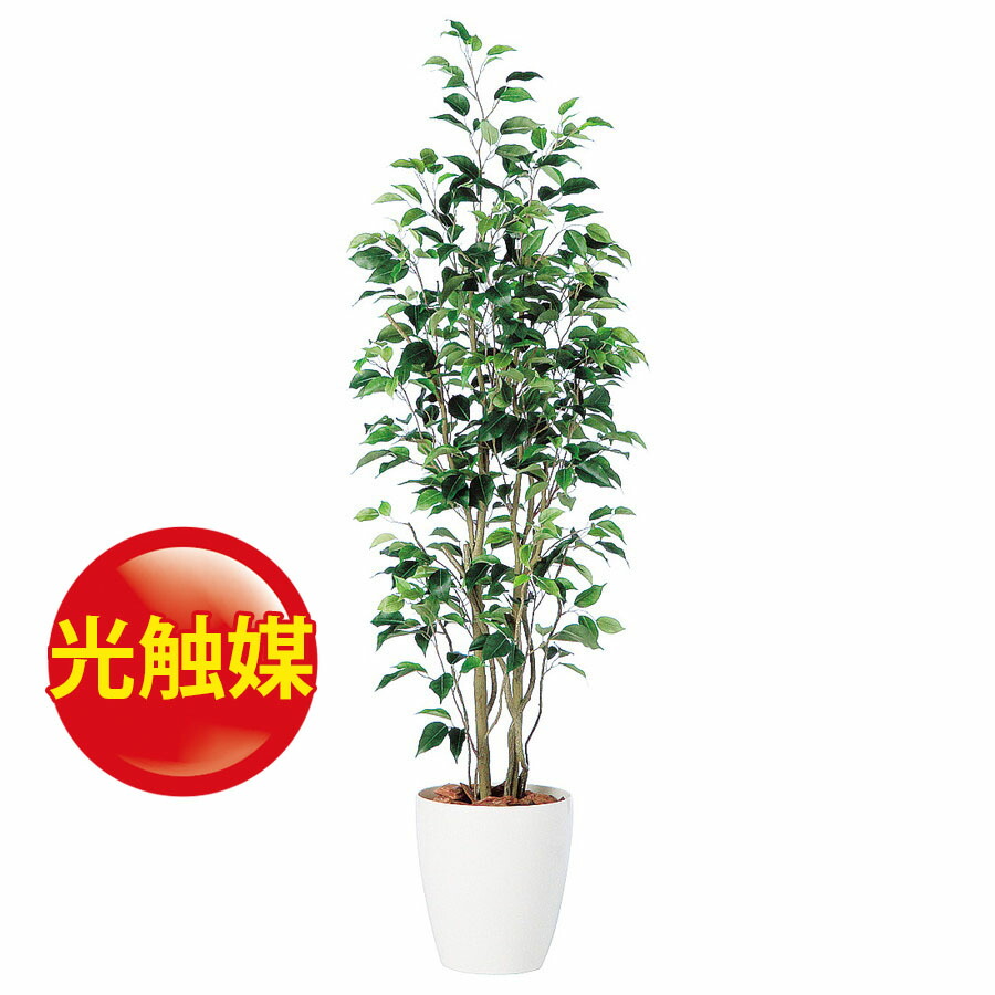 全日本送料無料 楽天市場 人工観葉植物 光触媒 ベンジャミン スリム Fst150 器 Rp 265 フェイクグリーン イミテーション インテリア 開店祝 新築祝 オフィス 観葉植物 大型 観葉植物 おしゃれ 観葉植物 インテリア 18ds ランドセル フロロ 値引