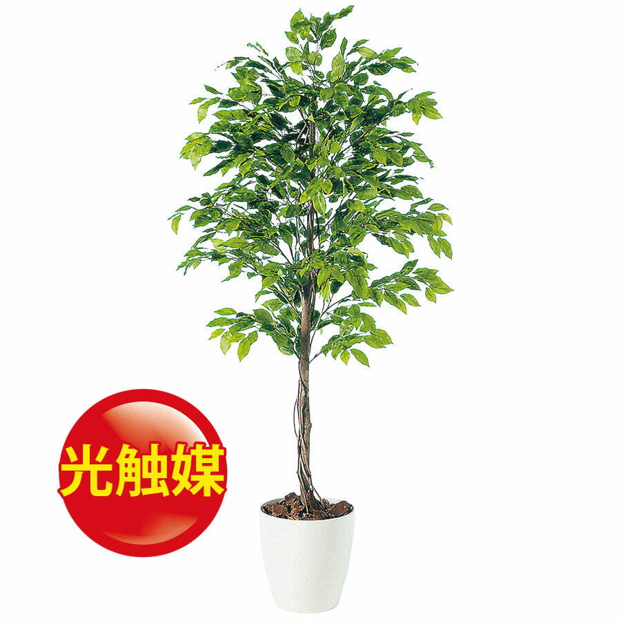 人気ブランド 人工観葉植物 光触媒 ベンジャミナスプラッシュ 150 器 Rp 265 フェイクグリーン イミテーション インテリア 開店祝 オフィス 造花 観葉植物 大型 観葉植物 おしゃれ 観葉植物 インテリア 18ds 柔らかい Lexusoman Com