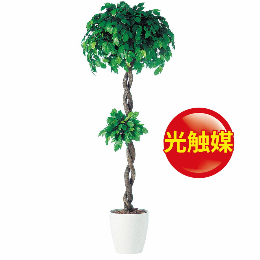 在庫一掃 楽天市場 人工観葉植物 光触媒 フィッカスベンジャミナダブル 180 器 Rp 300 フェイクグリーン イミテーション インテリア 開店祝 オフィス 観葉植物 大型 観葉植物 おしゃれ 観葉植物 インテリア 18ds ランドセル フロロ メーカー包装済