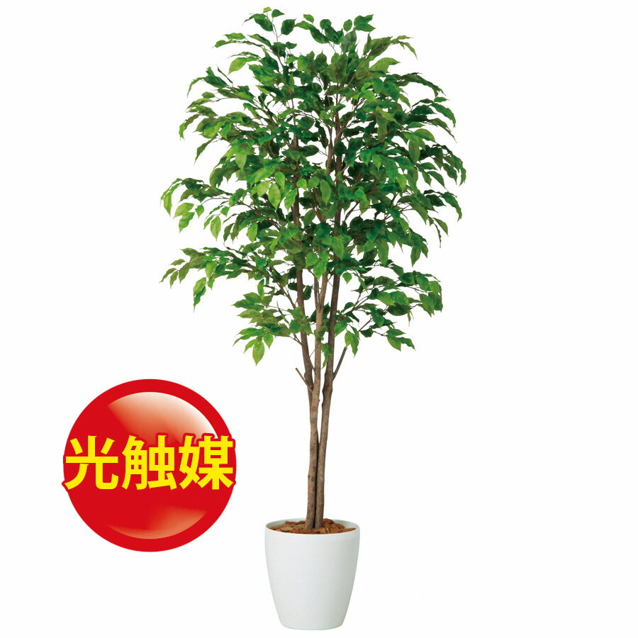 花資材 フロロラッピング 人工観葉植物 人工観葉植物 開店祝 オフィス 観葉植物 イミテーション 新築祝 引越祝い 贈り物 造花 人工観葉植物 敬老の日 おしゃれ 人工観葉植物 フェイクグリーン インテリア 造花 人工 光触媒 ベンジャミナスプラッシュトリプル 150 器 Rp