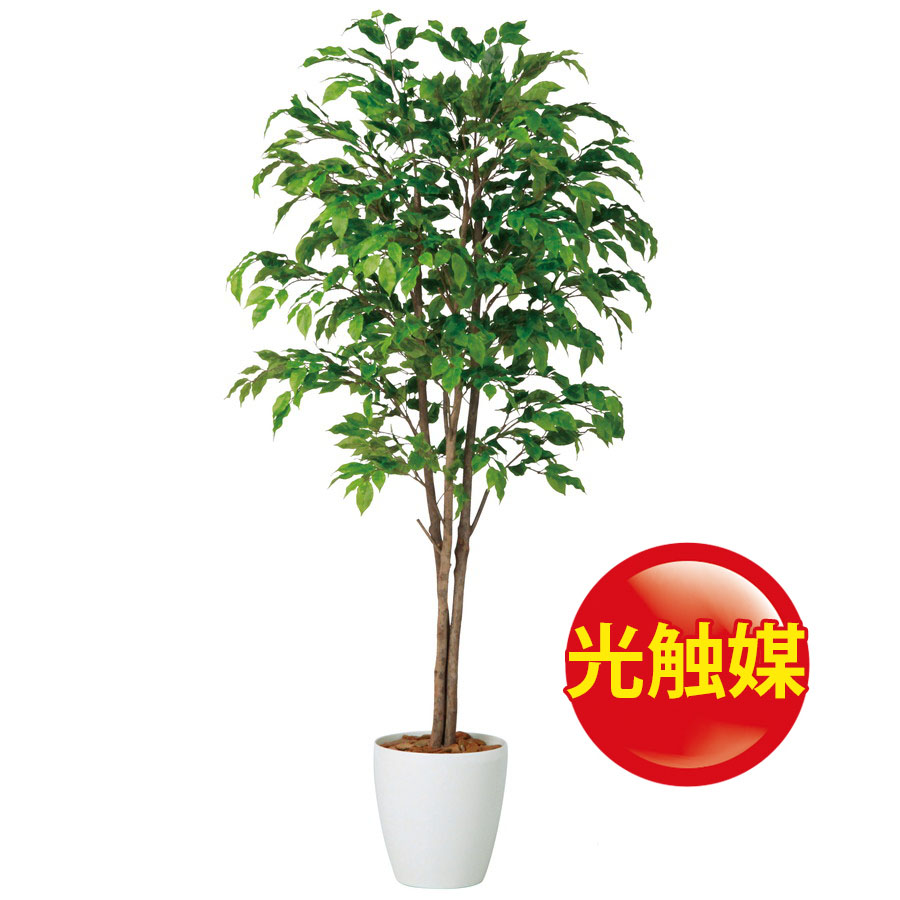 交換無料 楽天市場 人工観葉植物 光触媒 ベンジャミナスプラッシュトリプル 180 器 Rp 300 フェイクグリーン イミテーション インテリア 開店祝 オフィス 観葉植物 大型 観葉植物 おしゃれ 観葉植物 インテリア 18ds ランドセル フロロ 超人気