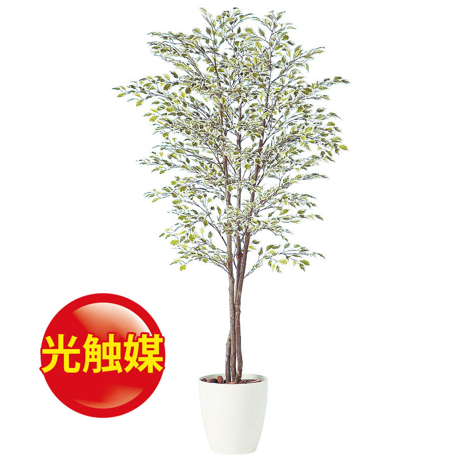 人工観葉植物 観葉植物 敬老の日 0 器 Rp 300 インテリア フェイクグリーン インテリア 0 器 Rp 300 フロロフロロラッピング 光触媒 光触媒 イミテーション 開店祝オフィス おしゃれ 贈り物 観葉植物 花資材 ベンジャミナスターライトトリプル