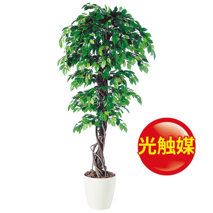 楽天1位 人工観葉植物 光触媒 フィッカスベンジャミナリアナ 150 器 Rp 300 フェイクグリーン イミテーション インテリア 開店祝 オフィス 観葉植物 大型 観葉植物 おしゃれ 観葉植物 インテリア 18ds 最安値挑戦 Www Psht Or Id