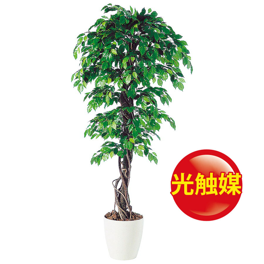 素晴らしい価格高評価 の花資材 贈り物 インテリア 人工観葉植物 イミテーション 0 器 Rp 370 985 18ds ランドセル おしゃれ オフィス 光触媒 フェイクグリーン 開店祝 観葉植物 引越祝い フロロフロロラッピング フィッカスベンジャミナリアナ 観葉植物