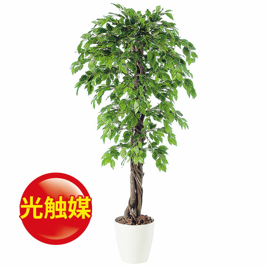 格安即決 楽天市場 人工観葉植物 光触媒 ベンジャミナスプラッシュリアナ 150 器 Rp 300 フェイクグリーン イミテーション インテリア 開店祝 オフィス 観葉植物 大型 観葉植物 おしゃれ 観葉植物 インテリア 18ds ランドセル フロロ 国際ブランド