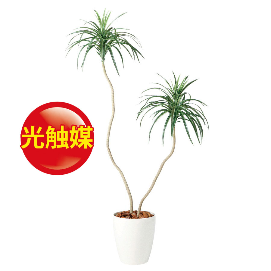 手数料安い 人工観葉植物 光触媒 コンシナベンド 130 器 Rp 225 フェイクグリーン イミテーション インテリア 開店祝 新築祝 オフィス 店舗 造花 観葉植物 大型 観葉植物 おしゃれ 観葉植物 インテリア 18ds お歳暮 Grupofrvendas Com Br