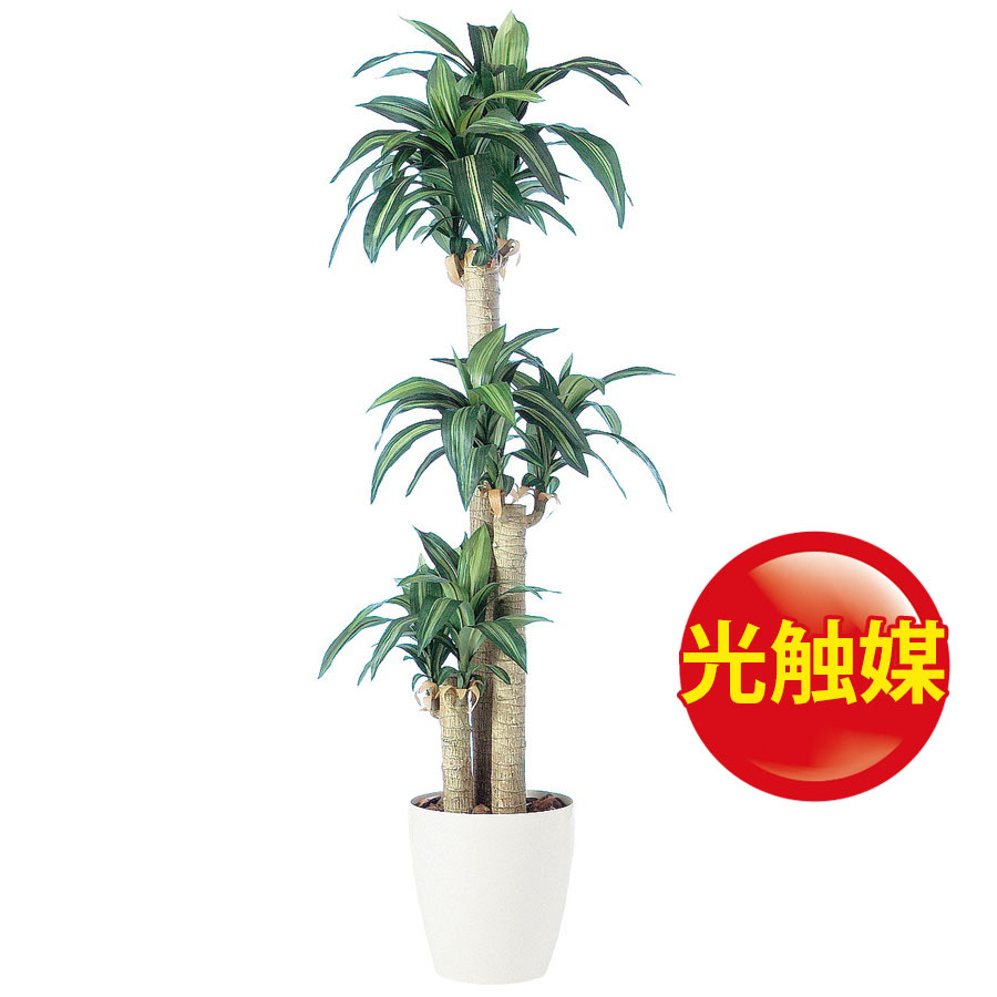 ヒート 光触媒 人工観葉植物 ウォールグリーン トラベラーズパーム170