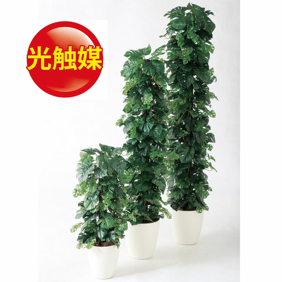 値引 楽天市場 人工観葉植物 光触媒 ヒメモンステラ ヘゴ Dx 90 器 Rp 225 フェイクグリーン イミテーション インテリア 開店祝 オフィス 造花 観葉植物 大型 観葉植物 おしゃれ 観葉植物 インテリア 18ds ランドセル フロロ 全商品オープニング価格