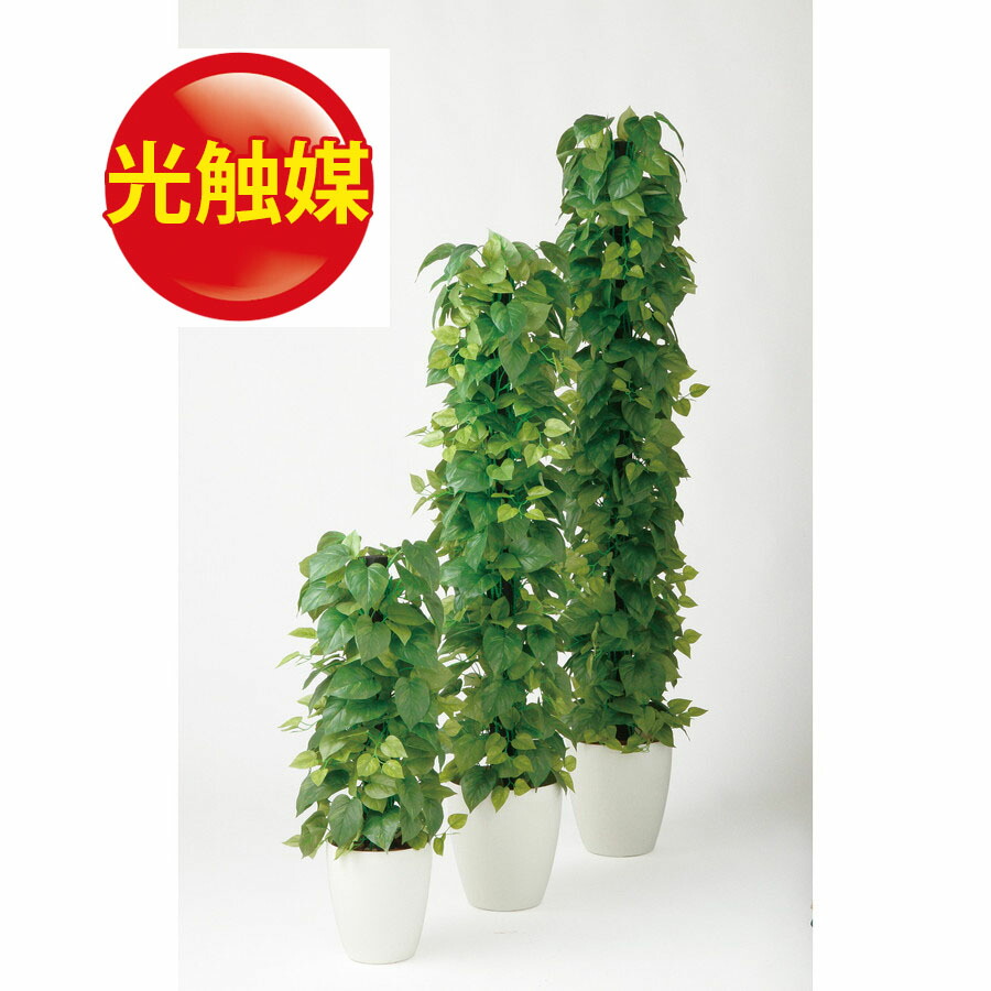 50 Off 人工観葉植物 光触媒 ライムポトス ヘゴ Green 180 器 Rp 265 990 フェイクグリーン イミテーション インテリア 開店祝 オフィス 造花 観葉植物 大型 観葉植物 おしゃれ 観葉植物 インテリア 18ds 時間指定不可 Www Lexusoman Com