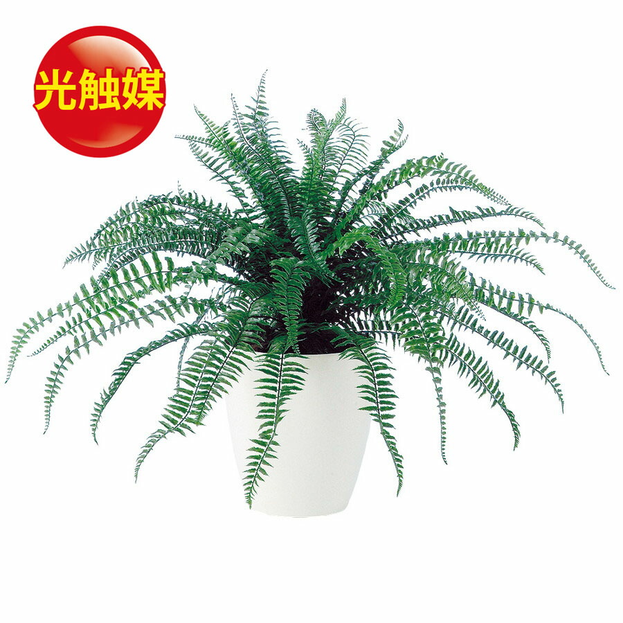 55 以上節約 楽天市場 人工観葉植物 光触媒 ボストンファンr 70 器 Rp 265 フェイクグリーン イミテーション インテリア 開店祝 オフィス 店舗 造花 おしゃれ 観葉植物 大型 観葉植物 おしゃれ 観葉植物 インテリア 18ds ランドセル フロロ 爆安