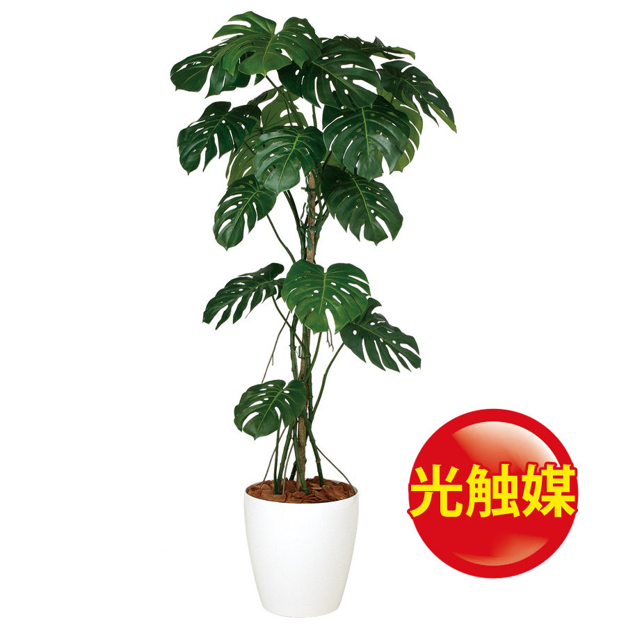 激安ブランド 楽天市場 人工観葉植物 光触媒 モンステラ バイン 180 器 Rp 370 フェイクグリーン イミテーション インテリア 開店祝 新築祝 オフィス 店舗 観葉植物 大型 観葉植物 おしゃれ 観葉植物 インテリア 18ds ランドセル フロロ ポイント10