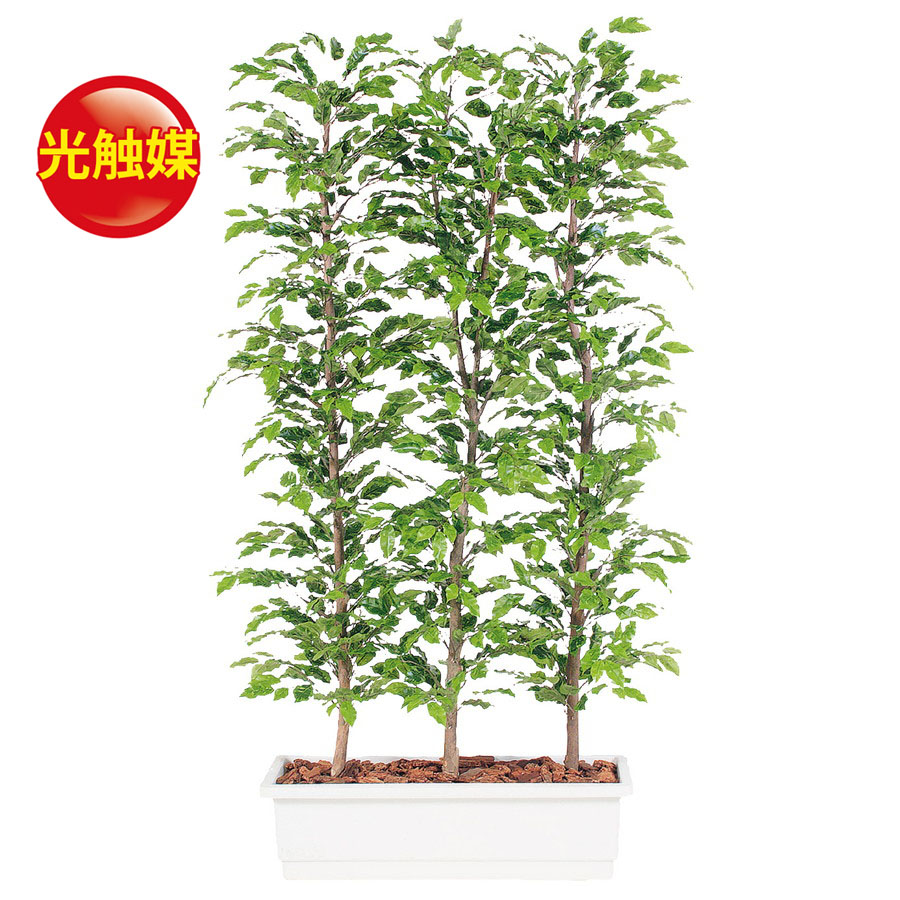 スーパーsale10 Off 人工観葉植物 光触媒 ベンジャミナ スプラッシュ パーテション 0 器 ガーデンペット フェイクグリーン イミテーション オフィス 観葉植物 大型 観葉植物 おしゃれ 観葉植物 インテリア 18ds Sermus Es