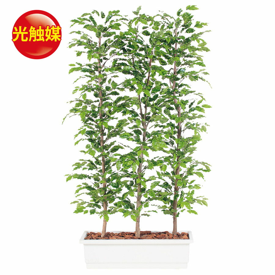 スーパーsale10 Off 人工観葉植物 光触媒 ベンジャミナ スプラッシュ パーテション 180 器 ガーデンペット フェイクグリーン イミテーション オフィス 観葉植物 大型 観葉植物 おしゃれ 観葉植物 インテリア 18ds Cdm Co Mz