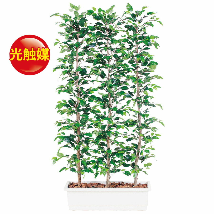 第1位獲得 楽天市場 人工観葉植物 光触媒 フィッカス ベンジャミナ パーテション 180 器 ガーデンペット フェイクグリーン イミテーション オフィス 観葉植物 大型 観葉植物 おしゃれ 観葉植物 インテリア 18ds ランドセル フロロ 人気満点 Www