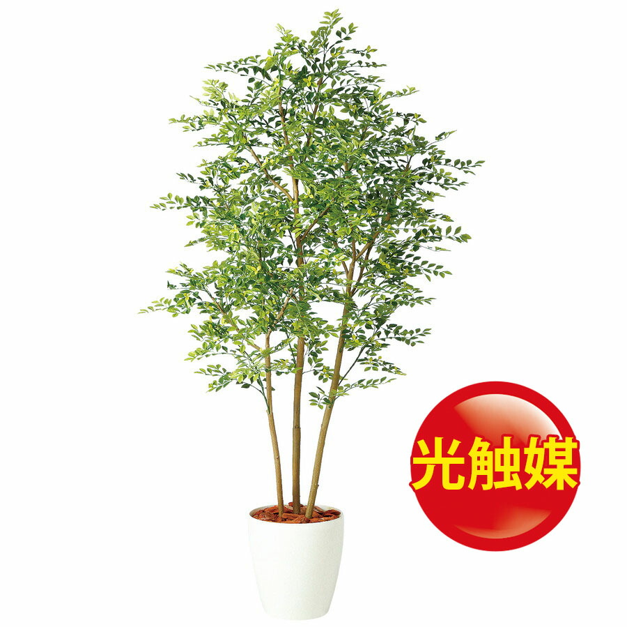 スーパーsale10 Off 人工観葉植物 光触媒 ゴールデンリーフ Fst 180 器 Rp 300 969 フェイクグリーン イミテーション インテリア オフィス造花 おしゃれ 観葉植物 大型 観葉植物 おしゃれ 観葉植物 インテリア 18ds Factor100 Co Il
