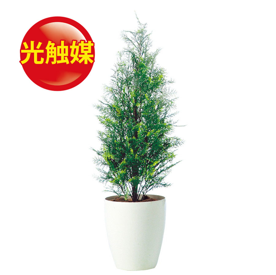 第1位獲得 楽天市場 人工観葉植物 光触媒 ヒバ 90 器 Rp 225 フェイクグリーン イミテーション インテリア オフィス 店舗 造花 おしゃれ 観葉植物 大型 観葉植物 おしゃれ 観葉植物 インテリア 18ds ランドセル フロロ 爆売り Blog