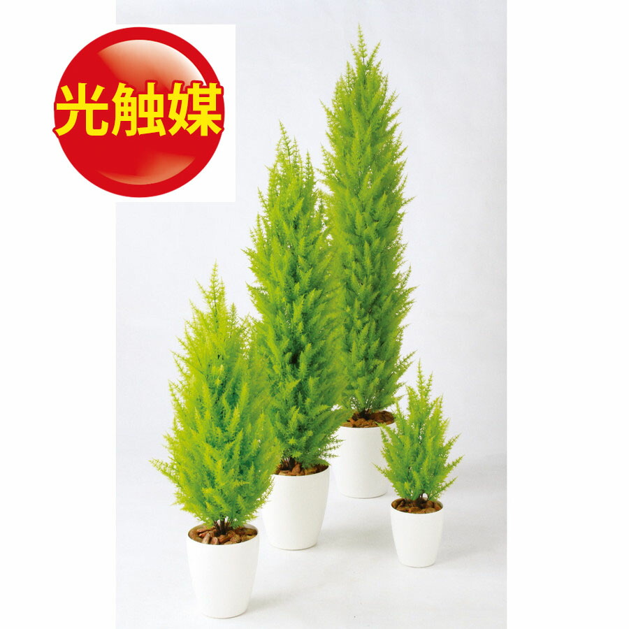 百貨店sale10 Off 人工観葉植物 燭触媒 ゴールドクレスト 木 110 入れ物 Rp 225 9 フェイクグリーン 模倣 室内装飾 執務室 ストアー 造花 観葉植物 大型 観葉植物 恰好いい 観葉植物 インテリア 18ds Upntabasco Edu Mx