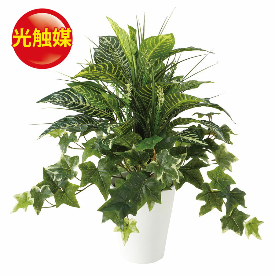驚きの値段 人工観葉植物 光触媒 ゼブラ Mix ブッシュ 器 Sa 5 Wh フェイクグリーン イミテーション インテリア オフィス 店舗 造花 カジュアル 観葉植物 ミニ 観葉植物 おしゃれ 観葉植物 インテリア 18ds 新発 Secretoftheislands Com