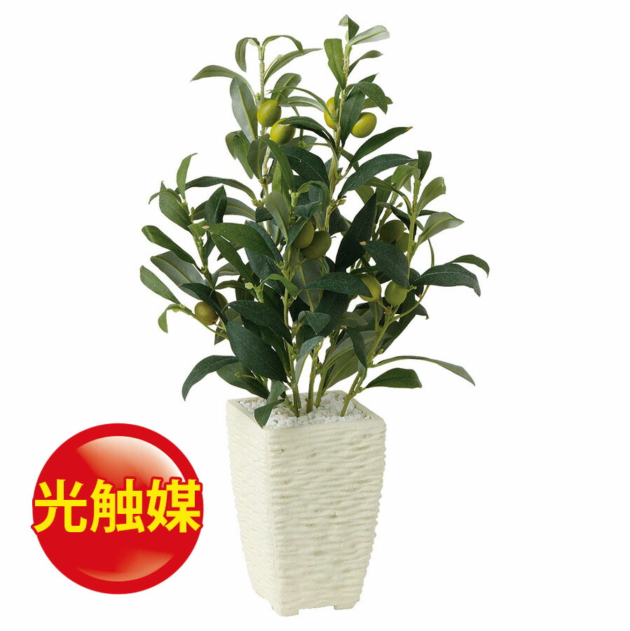 スーパーsale10 Off 人工観葉植物 光触媒 ライプオリーブ 器 Pスクエア Wh フェイクグリーン イミテーション インテリア オフィス 店舗 造花 お手入れ不要 観葉植物 ミニ 観葉植物 おしゃれ 観葉植物 インテリア 18ds Tajikhome Com