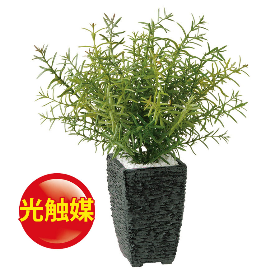 スーパーsale10 Off 人工観葉植物 光触媒 ローズマリー 器 Pスクエア Bk 991 フェイクグリーン イミテーション インテリア オフィス 店舗 造花 お手入れ不要 観葉植物 ミニ 観葉植物 おしゃれ 観葉植物 インテリア 18ds Sermus Es